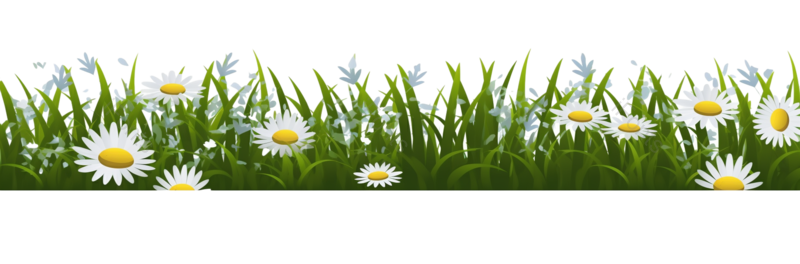 叶子图片,边框元素,花纹PNG,黄色的花免抠素材